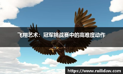 飞翔艺术：冠军挑战赛中的高难度动作